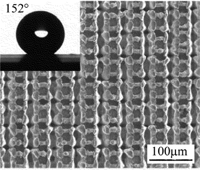 1565331076624568.jpg 7.jpg