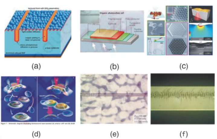 1587966410528755.jpg 333.jpg