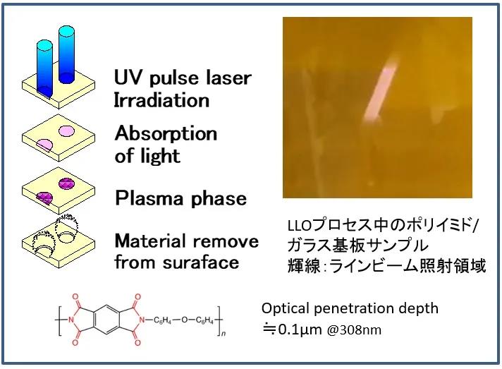 1591084452241486.jpg 2.jpg